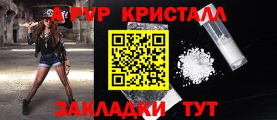 спайс Кингисепп