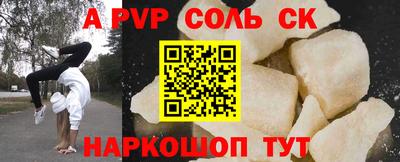 спайс Кингисепп