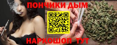 спайс Кингисепп