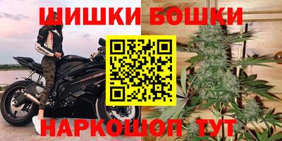 спайс Кингисепп