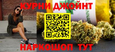 спайс Кингисепп