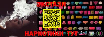 спайс Кингисепп