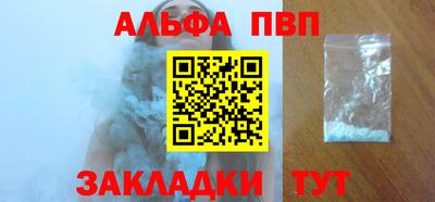 спайс Кингисепп
