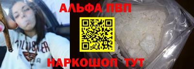 спайс Кингисепп