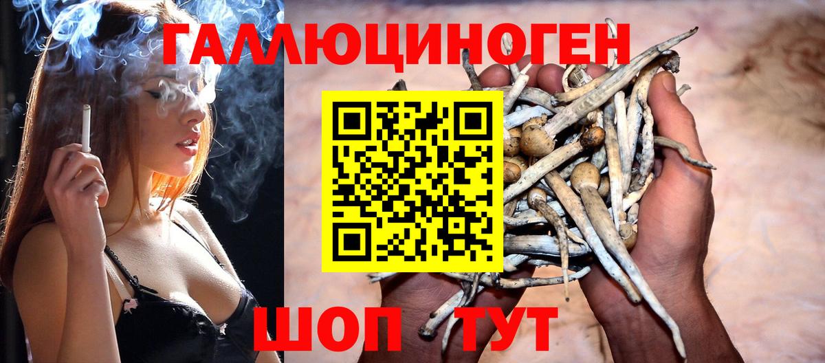 Галлюциногенные грибы мицелий Щёлково