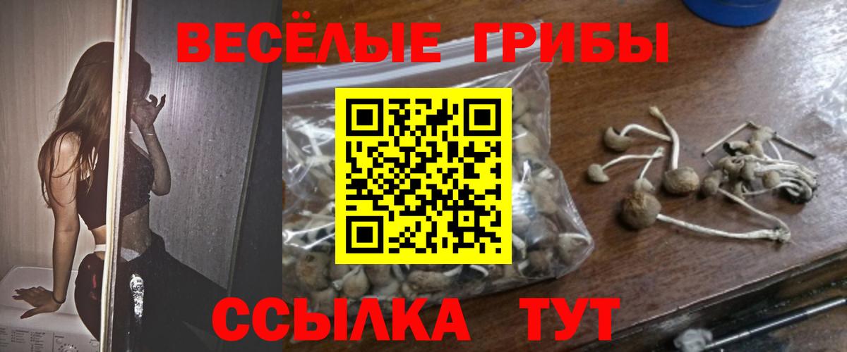 Псилоцибиновые грибы GOLDEN TEACHER  Вход с VPN  Щёлково 